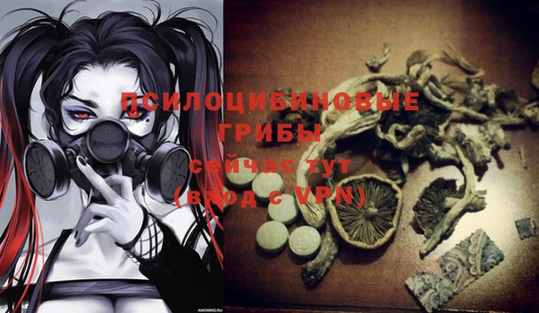 гидропоника Осинники