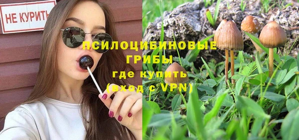 гидропоника Осинники